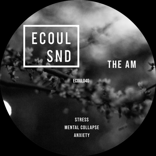 The AM - Stress [ECOUL040]